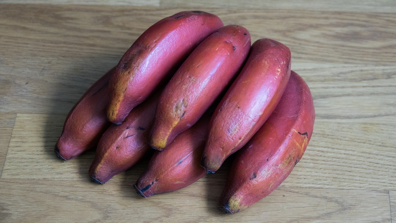 pisang kidang ungu