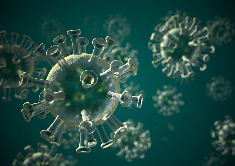 Dimana Letak Virus Dikaji dalam Struktur Organisasi Biologi